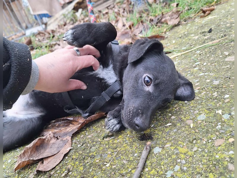 Die liebe Yoko ist voller Lebensfreude !