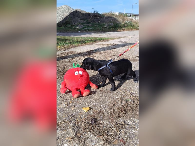 Die liebe Yoko ist voller Lebensfreude !