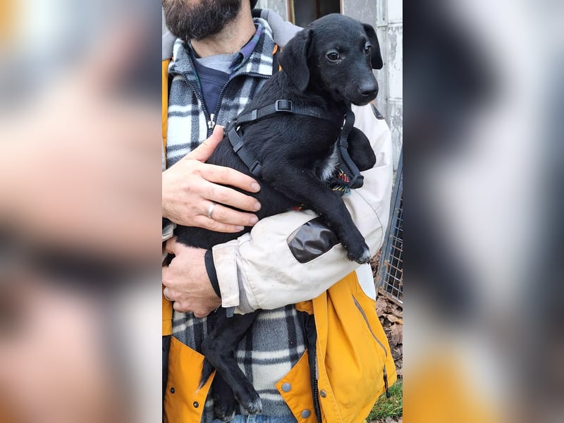 Die liebe Yoko ist voller Lebensfreude !