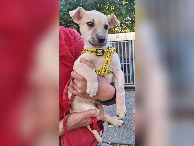 Paolo steckt voller Lebensfreude !