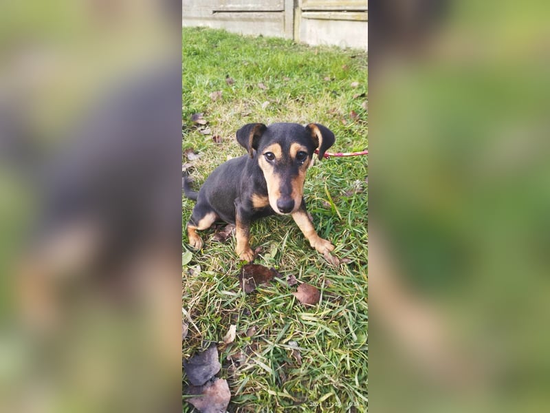 Die sportliche Gloria sucht ihre Menschen !