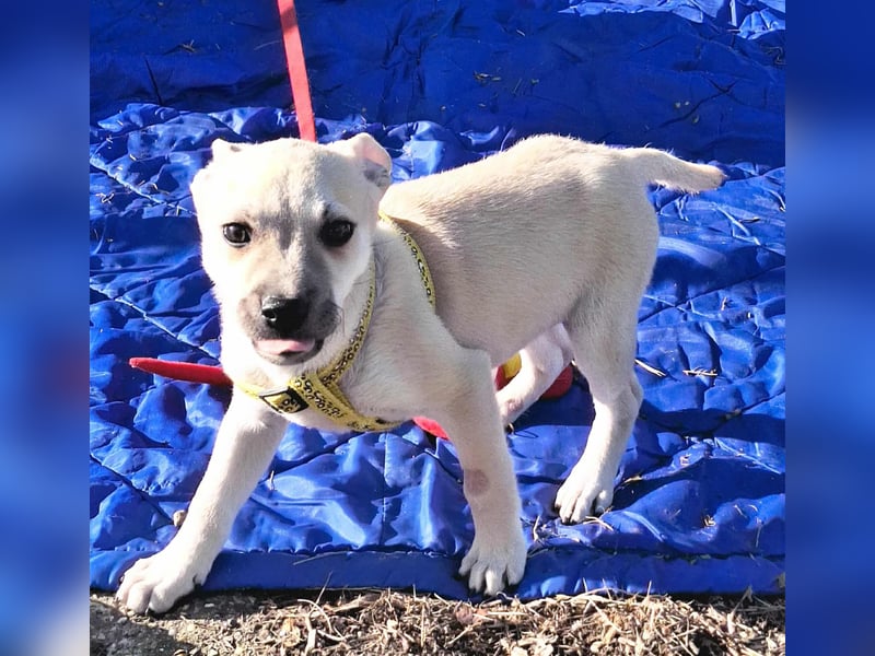 Paolo steckt voller Lebensfreude !