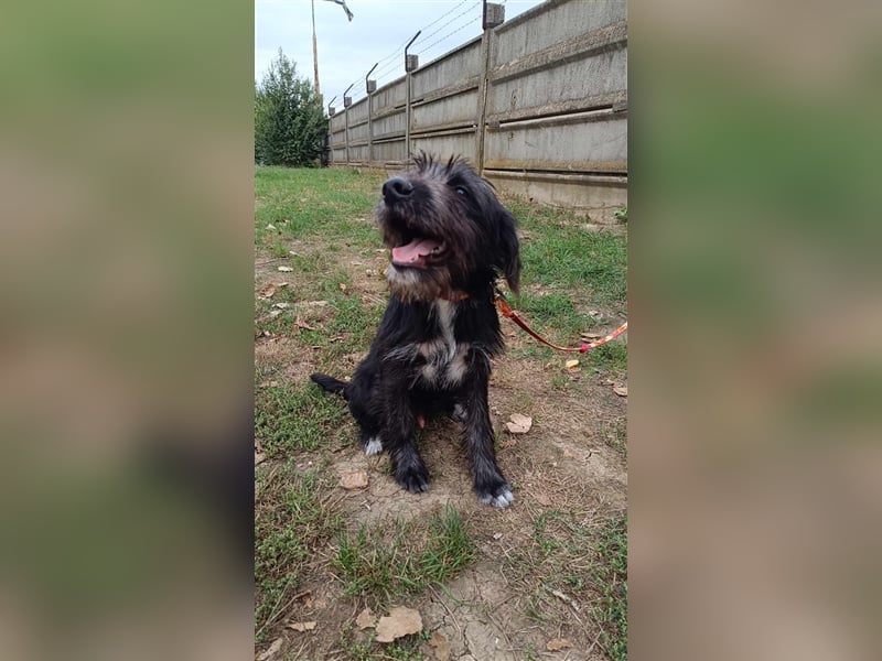 Der liebe Fernando sucht seine Familie !