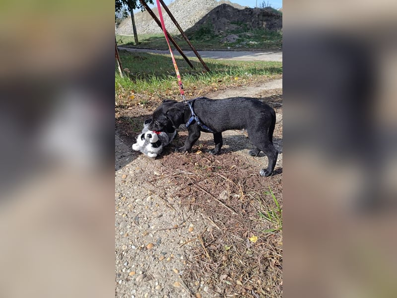 Die liebe Yoko ist voller Lebensfreude !