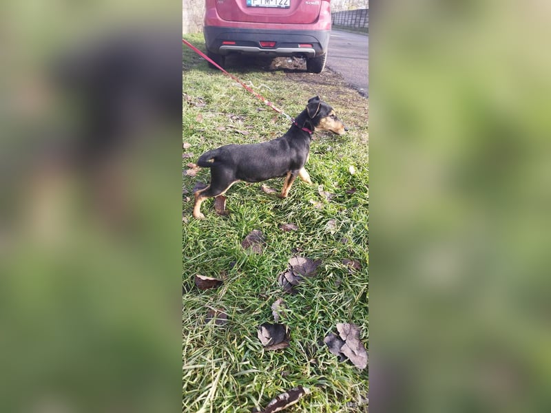 Die sportliche Gloria sucht ihre Menschen !