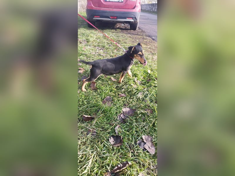 Die sportliche Gloria sucht ihre Menschen !