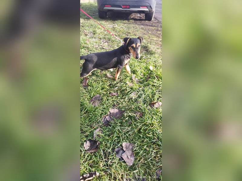 Die sportliche Gloria sucht ihre Menschen !