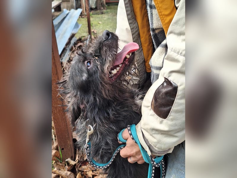 Diablo ist ein liebes, fröhliches Kerlchen !