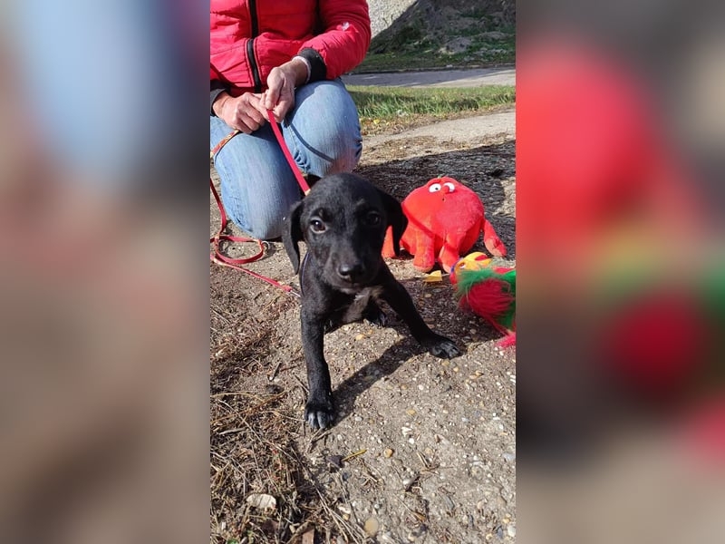 Die liebe Yoko ist voller Lebensfreude !