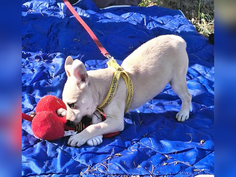 Paolo steckt voller Lebensfreude !