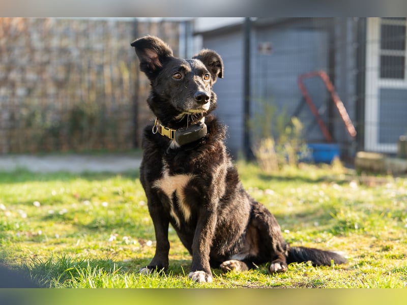 Riley wartet in Dortmund