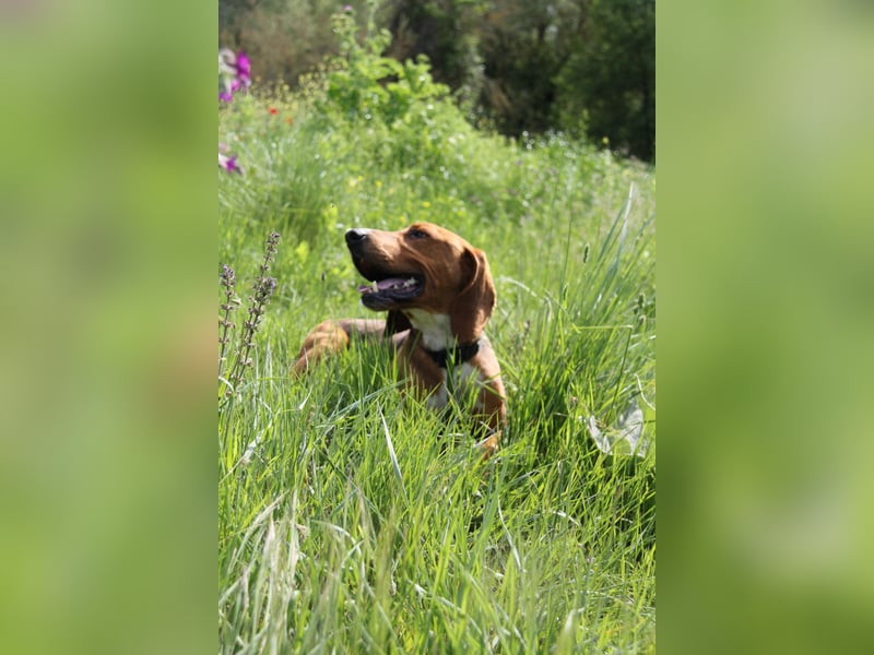 Tamam - ein sportlicher Gentlemen