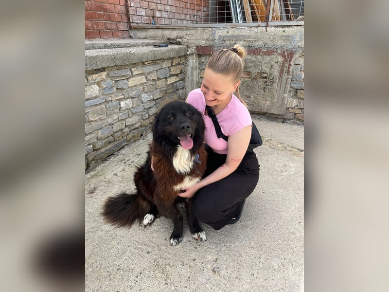 Gnadenplatz gesucht: Phil sucht ein Zuhause voller Liebe und Verständnis