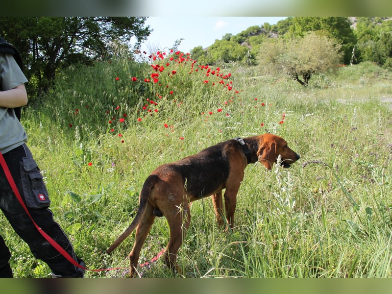 Tamam - ein sportlicher Gentlemen