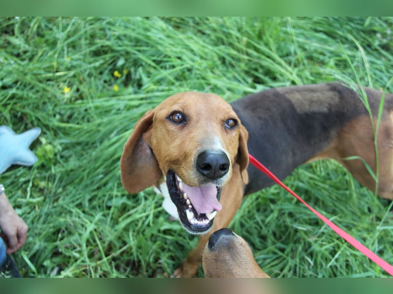 Tamam - ein sportlicher Gentlemen