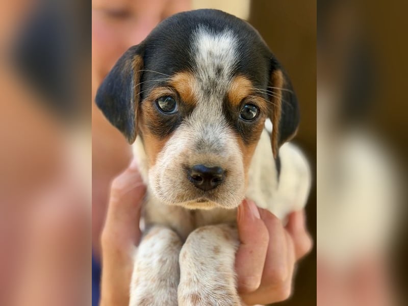 Murphy möchte Zuhause groß werden