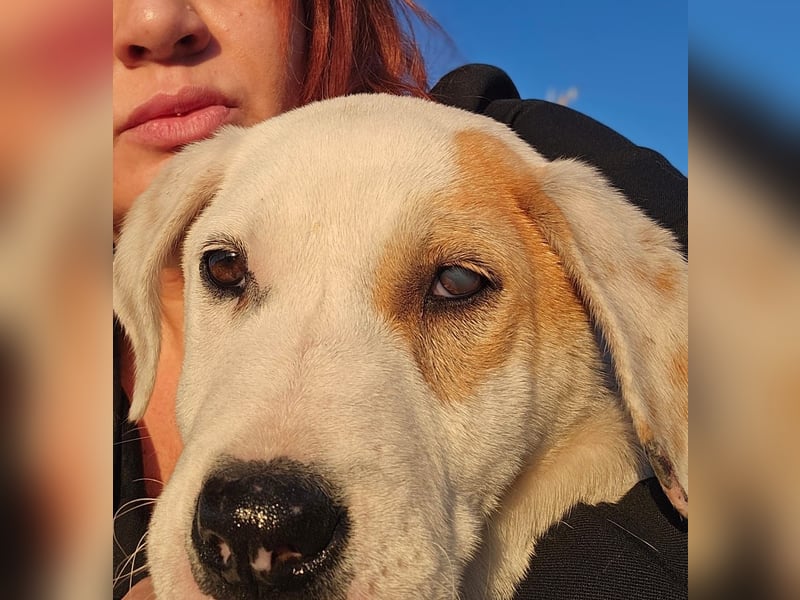 Ingrid, Welpenmädchen sucht ihr Glück