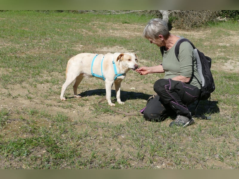 ruhiger Orio wünscht sich sein Zuhause für immer