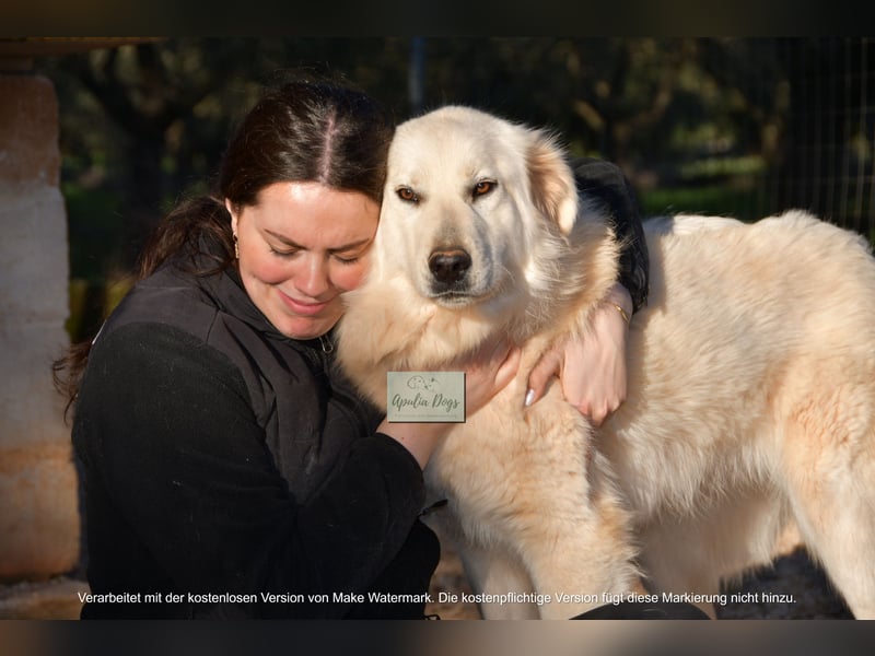 liebe Minka sucht noch ihr Zuhause