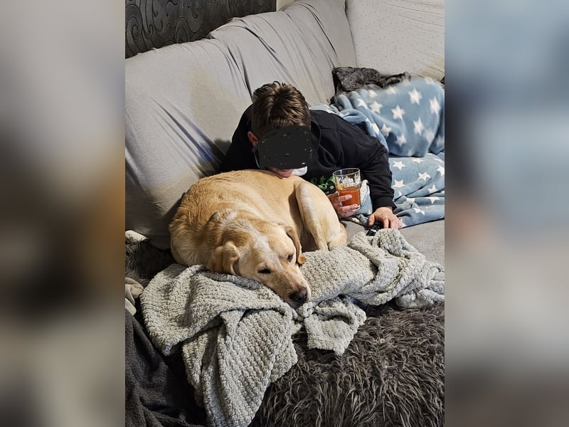 Nacho auf Pflegestelle in in 88273 Fronreute sucht sein Zuhause