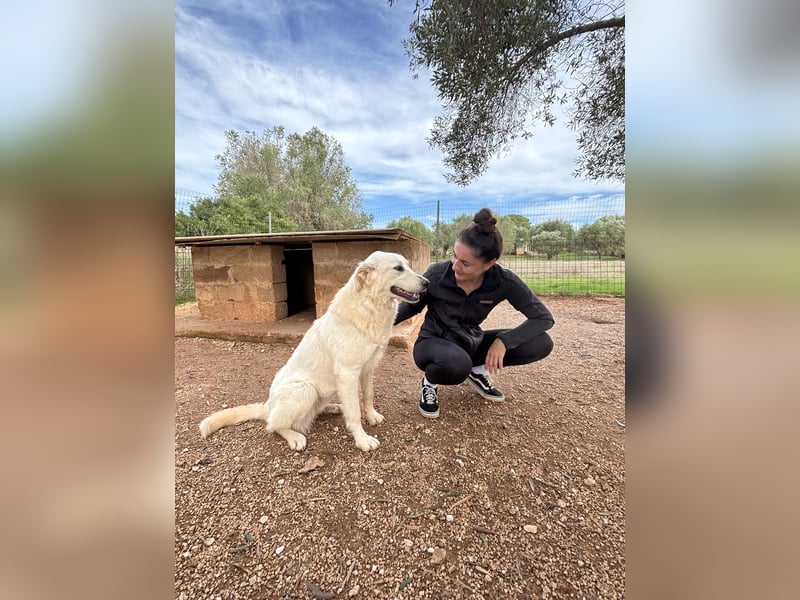 liebe Minka sucht noch ihr Zuhause