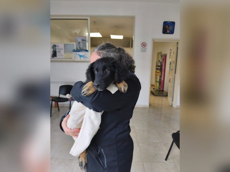 süßer Knut sucht sein Zuhause für immer