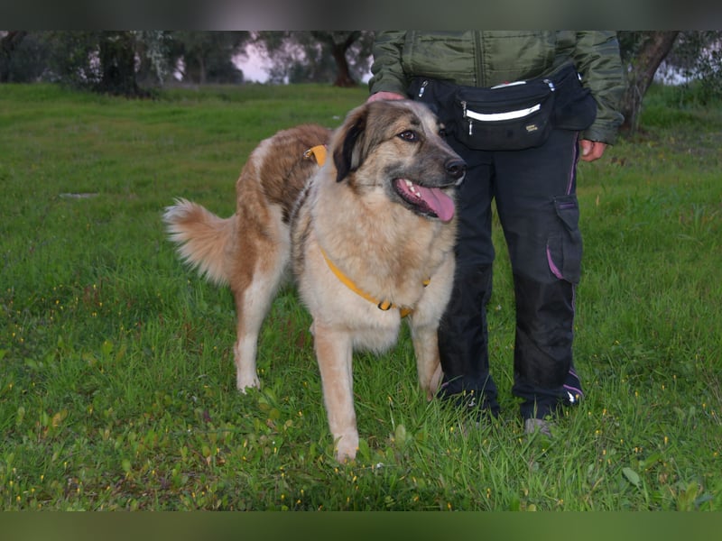 süßer Mack sucht sein Zuhause