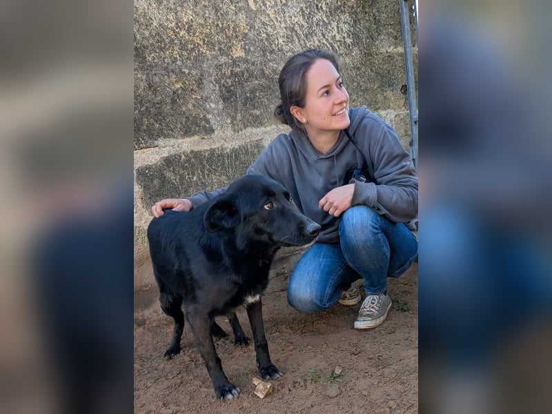 liebe Michaela wünscht sich ihr Zuhause