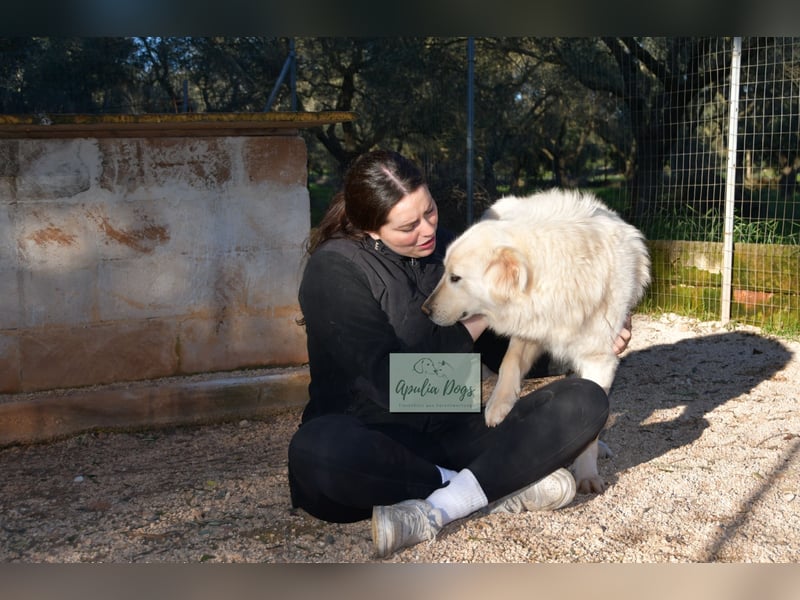 liebe Minka sucht noch ihr Zuhause