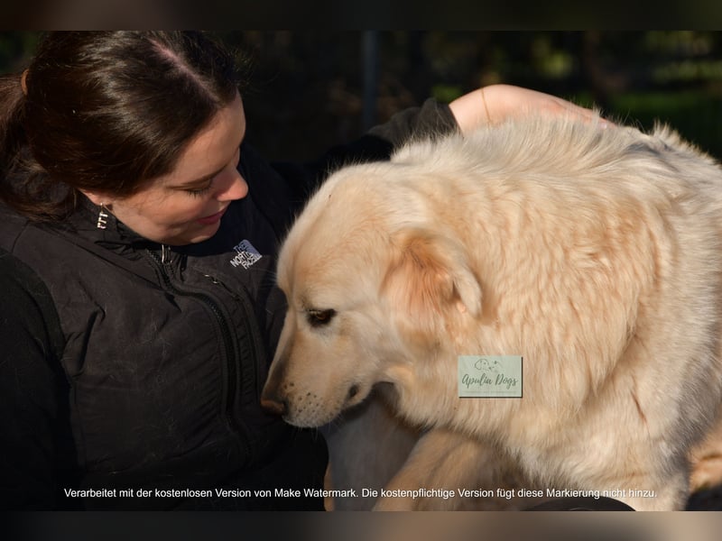 liebe Minka sucht noch ihr Zuhause