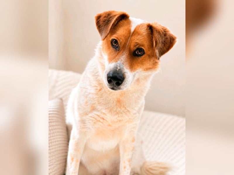 Lena - hübsche Lady sucht dich!