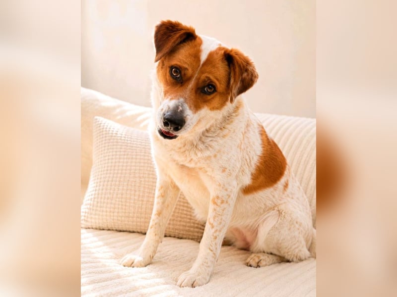 Lena - hübsche Lady sucht dich!