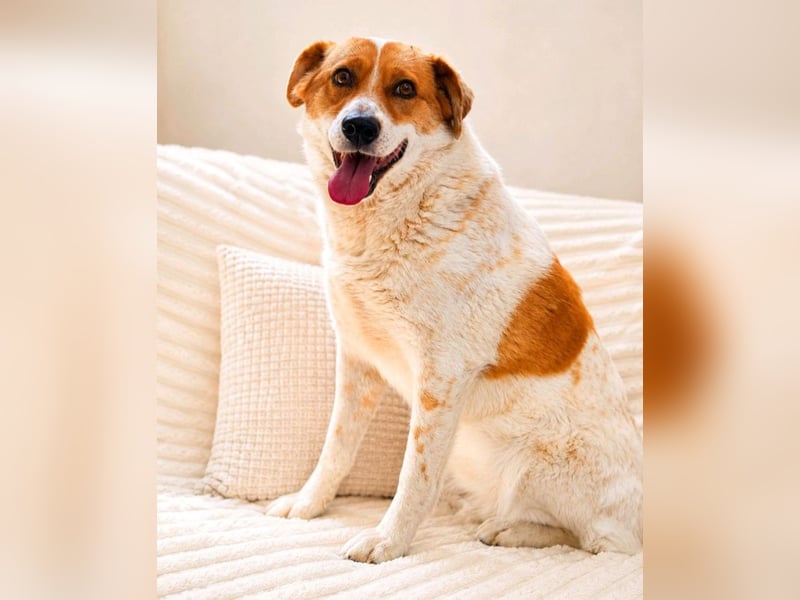 Lena - hübsche Lady sucht dich!