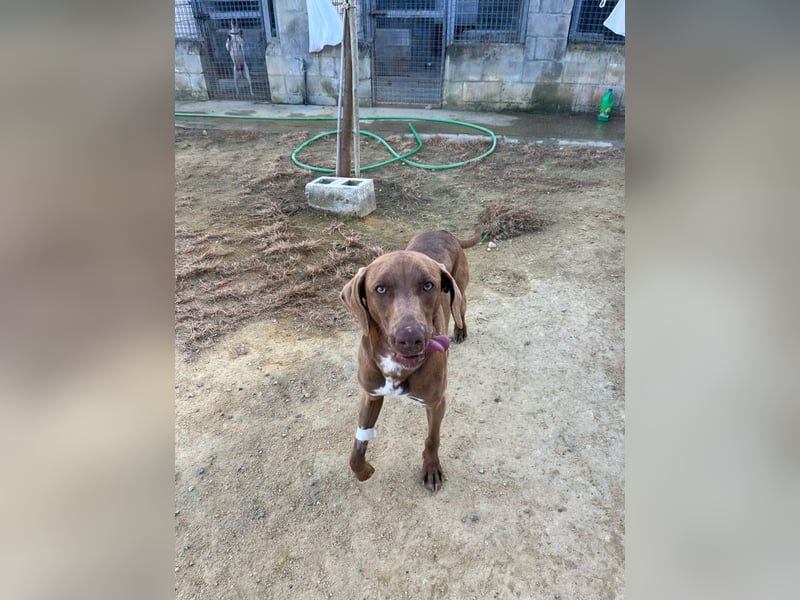 Zaito