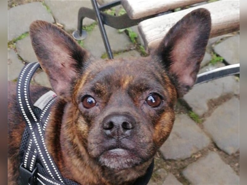Juanita