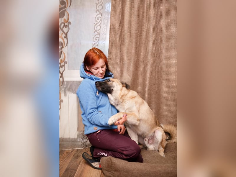 Lernwilliger, verspielter Junghund Klever❤️sucht Pflege- oder Endstelle