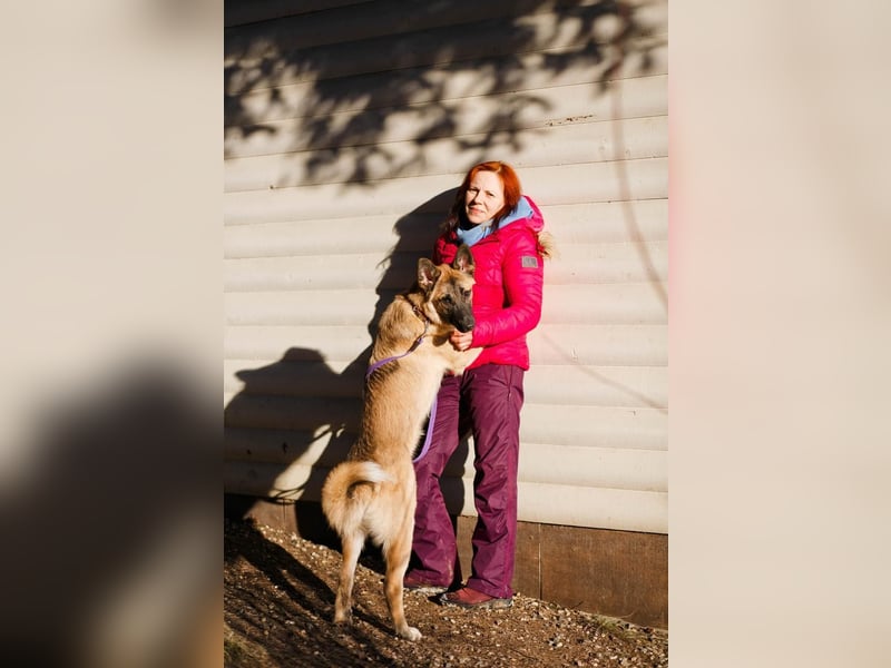 Lernwilliger, verspielter Junghund Klever❤️sucht Pflege- oder Endstelle