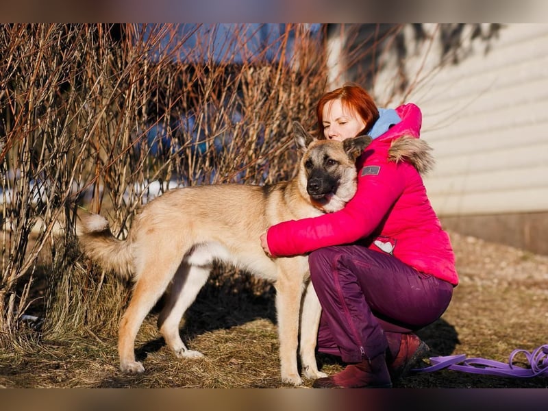 Lernwilliger, verspielter Junghund Klever❤️sucht Pflege- oder Endstelle