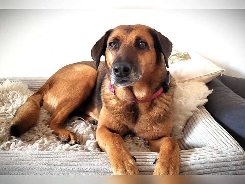 Louna