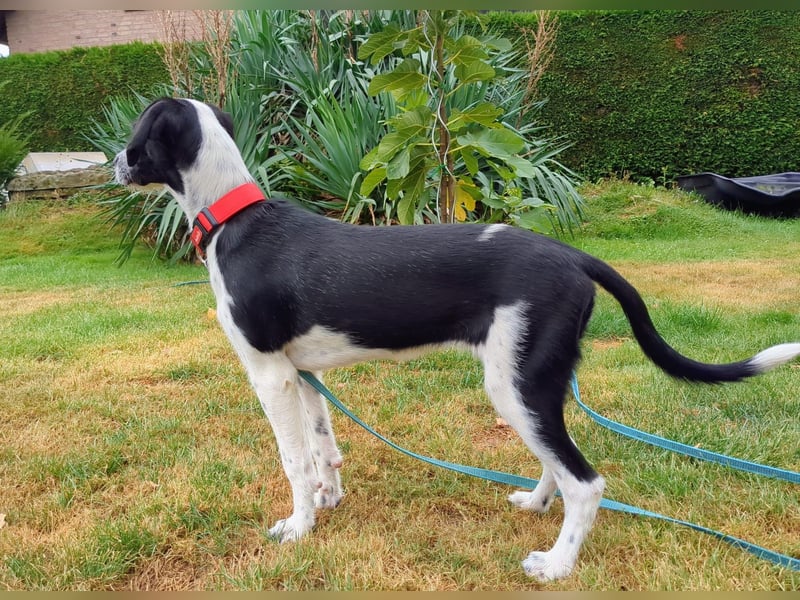 Christina wünscht sich eine Familie