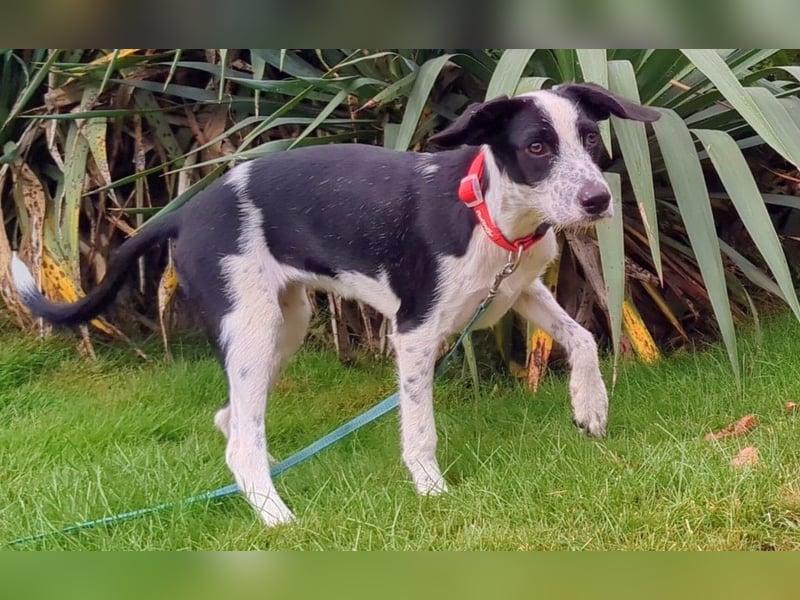 Christina wünscht sich eine Familie