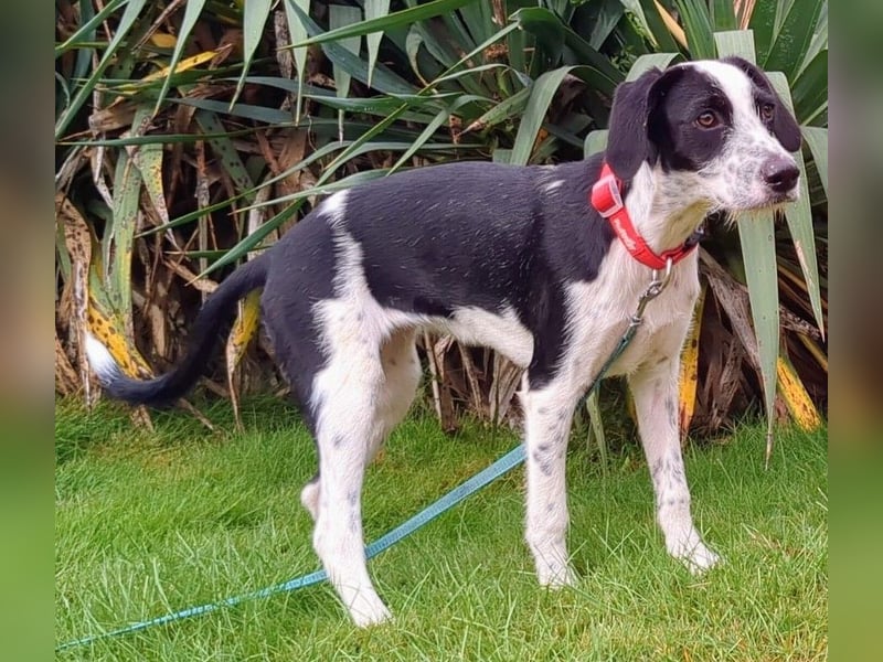 Christina wünscht sich eine Familie