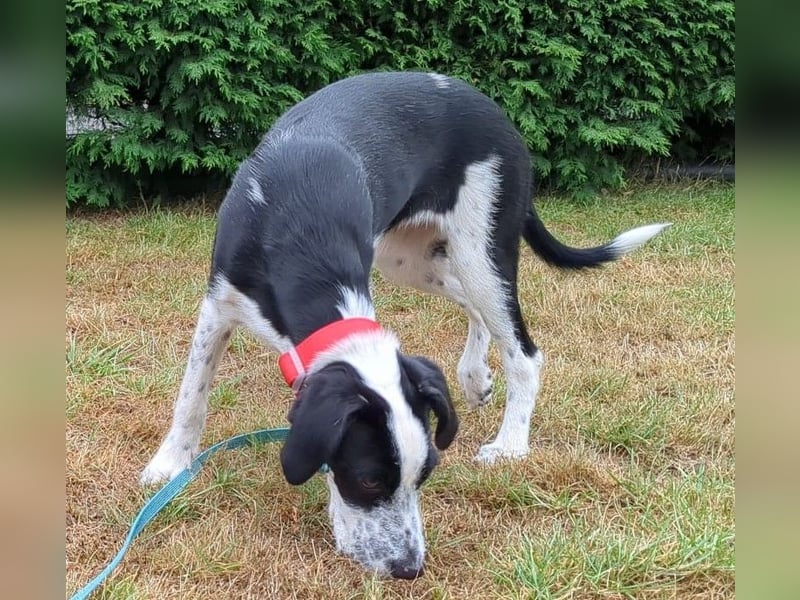 Christina wünscht sich eine Familie