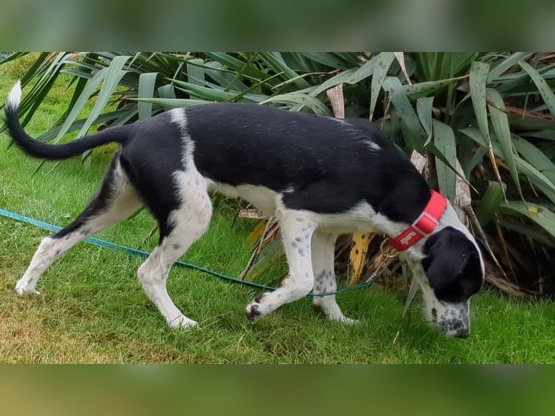 Christina wünscht sich eine Familie
