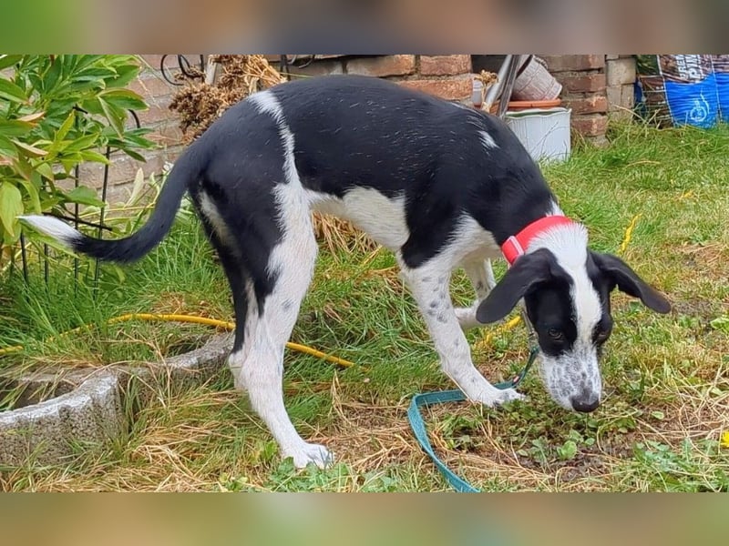 Christina wünscht sich eine Familie