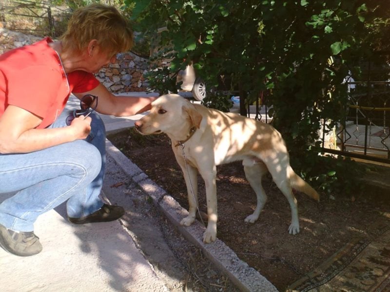 Burli sucht sein Für-Immer-Zuhause