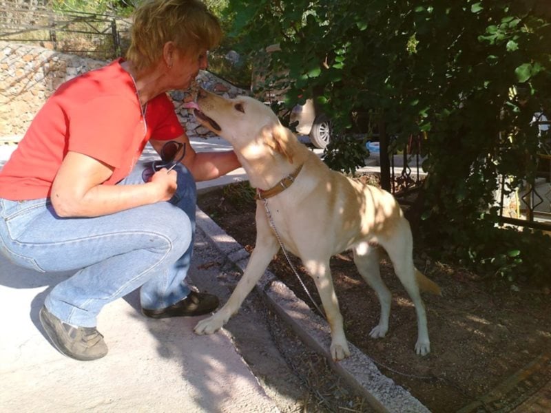 Burli sucht sein Für-Immer-Zuhause