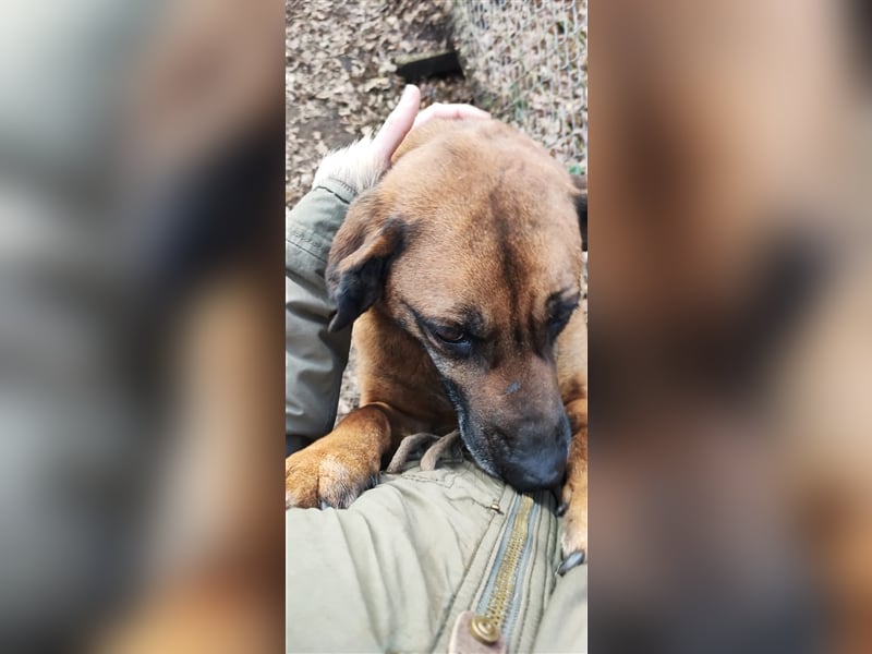 GERALDINE- traurige Vergangenheit