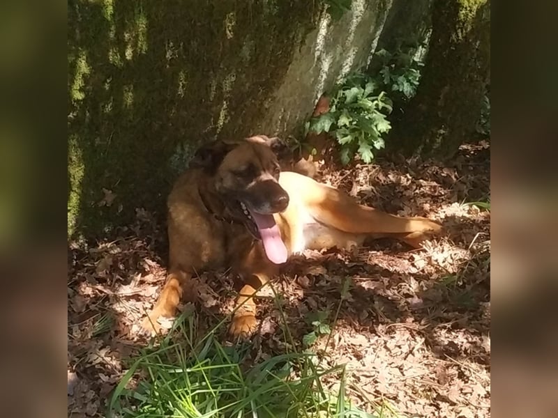 GERALDINE- traurige Vergangenheit