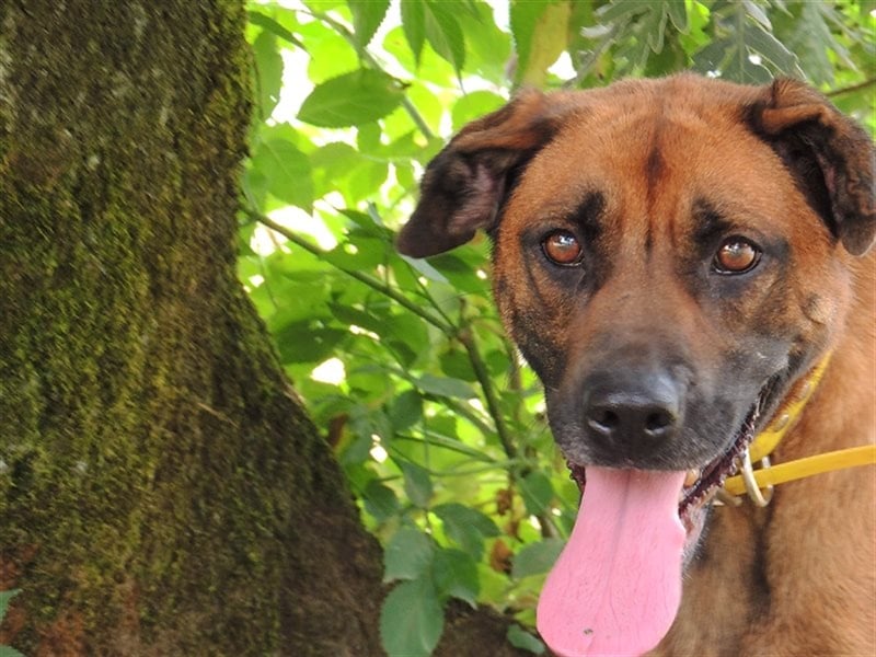 GERALDINE- traurige Vergangenheit